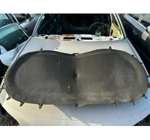 Шумка капота VAG Volkswagen Tiguan 08-17г., Шумка капоту VAG Фольцваген Тигуан 08-17р. Шумка капота VAG Volkswagen Tiguan 08-17г., Шумка капоту VAG Фольцваген Тигуан 08-17р.